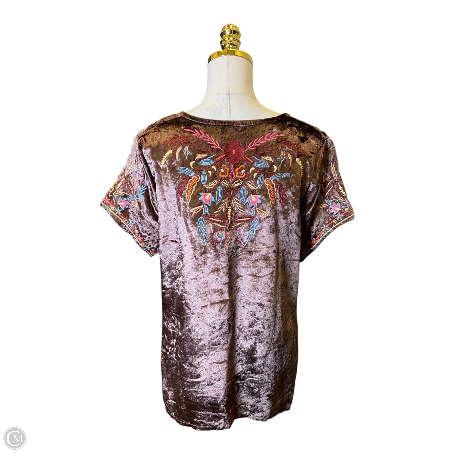 Blouse Short Sleeve By Clothes Mentor In Brown, Size: L