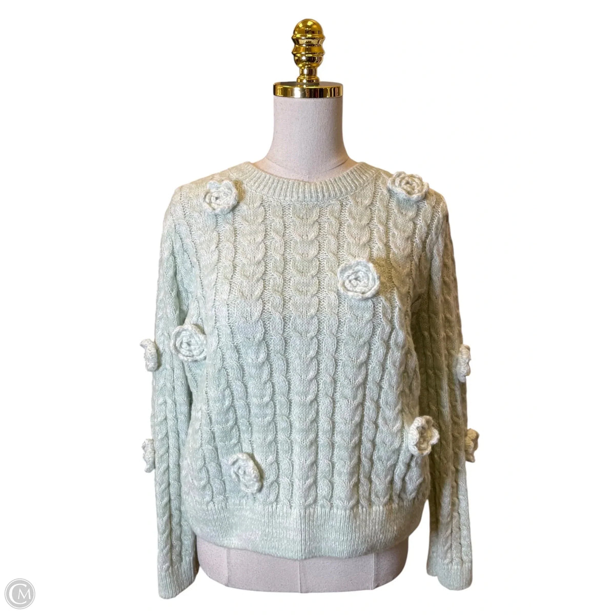 Sweater By Francesca’s In Green, Size: L