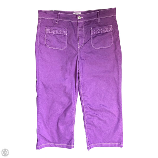 Pants Other By Curve Appeal In Purple, Size: 14