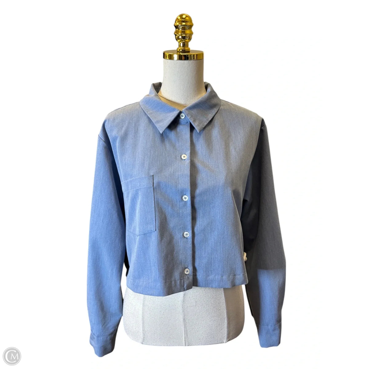 Blouse Long Sleeve By Wayf In Blue, Size: L