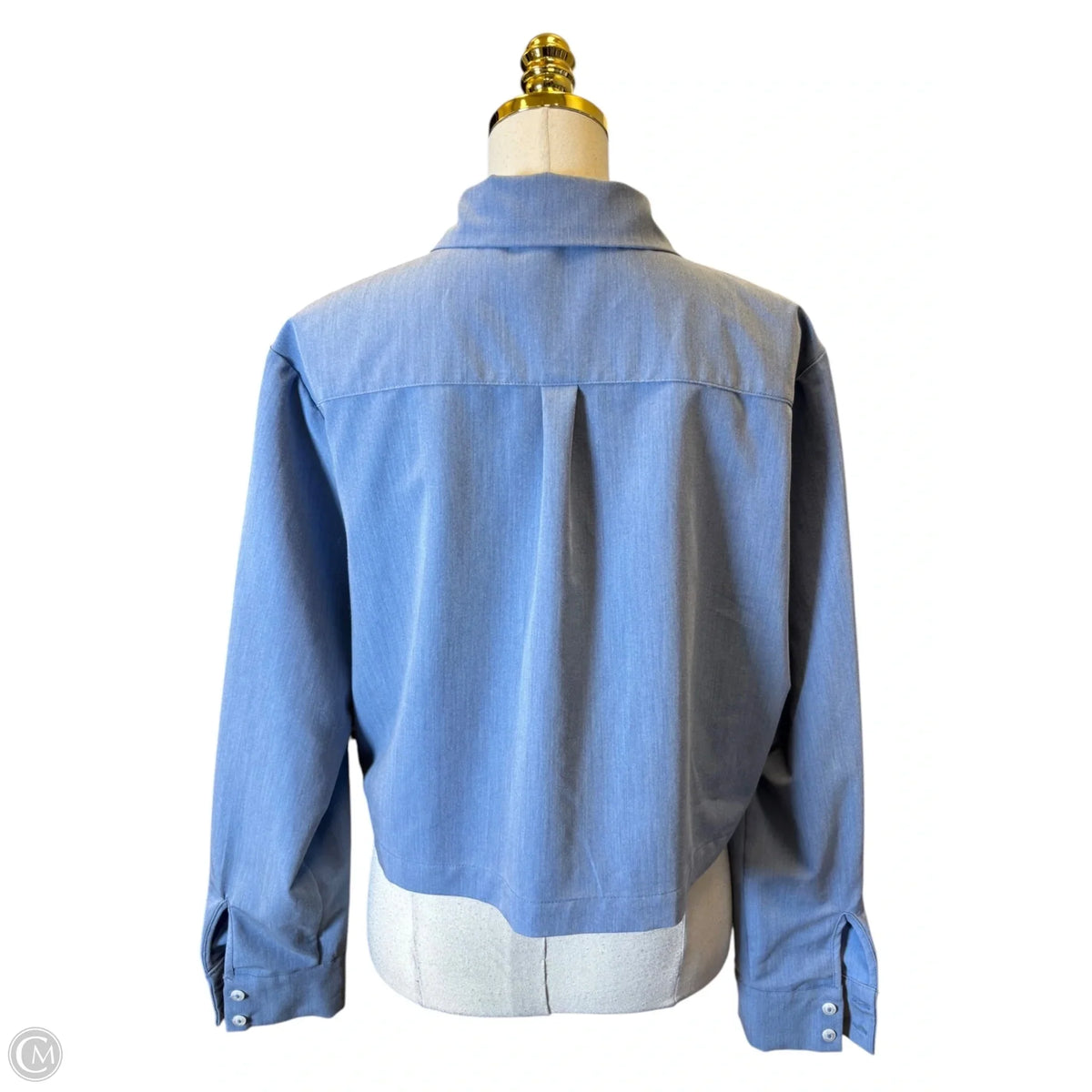 Blouse Long Sleeve By Wayf In Blue, Size: L
