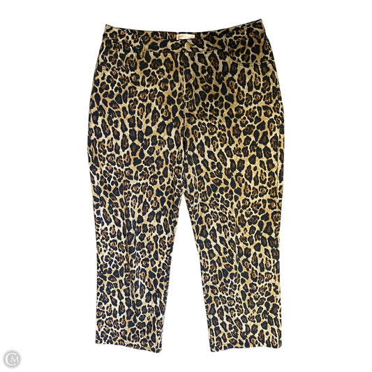 Jeans Wide Leg By Intempo In Animal Print, Size: 16