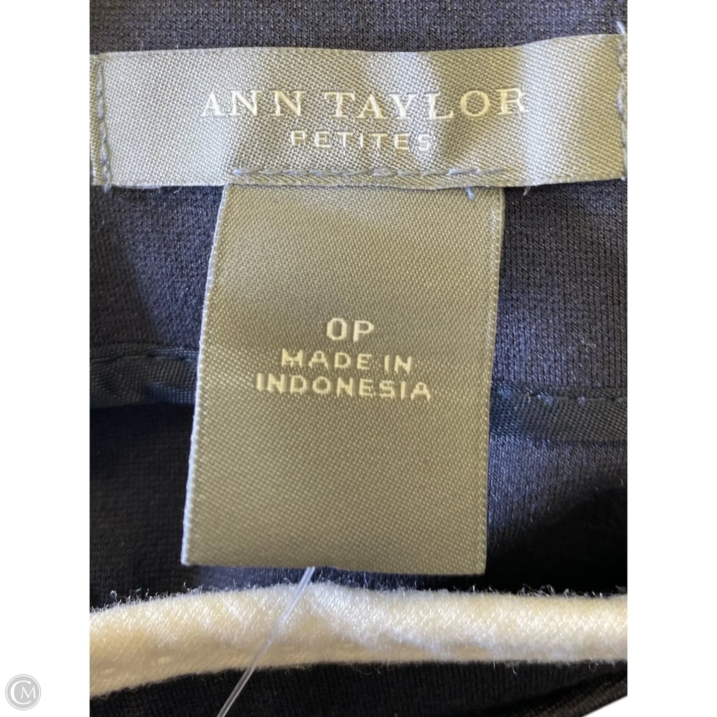 Skirt Midi By Ann Taylor In Blue & White, Size: 0