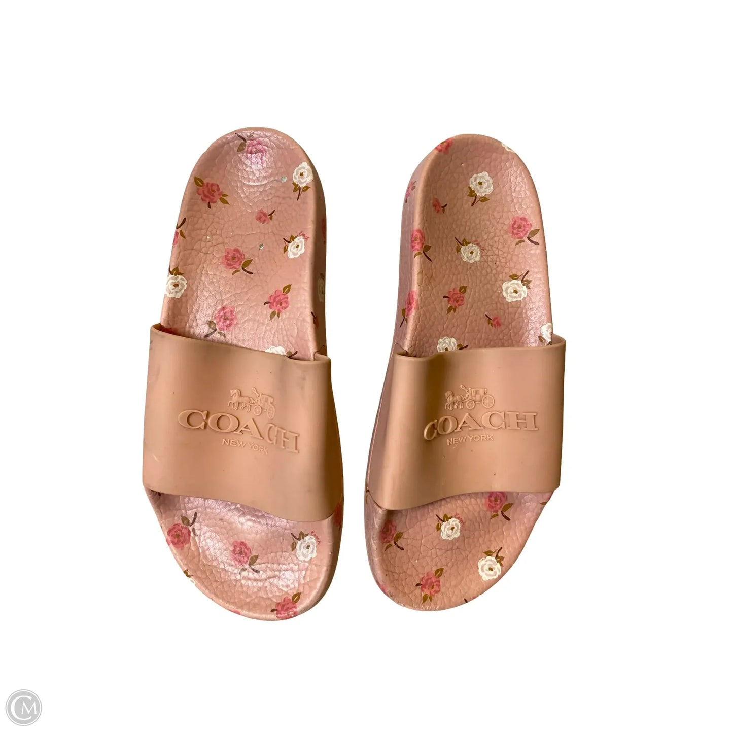 Shoes Designer By Coach In Floral Print, Size: 6