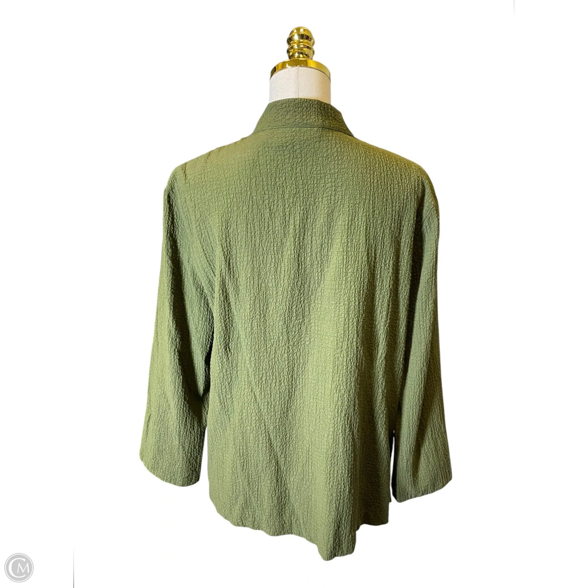 Blouse Long Sleeve By Clothes Mentor In Green, Size: Lp