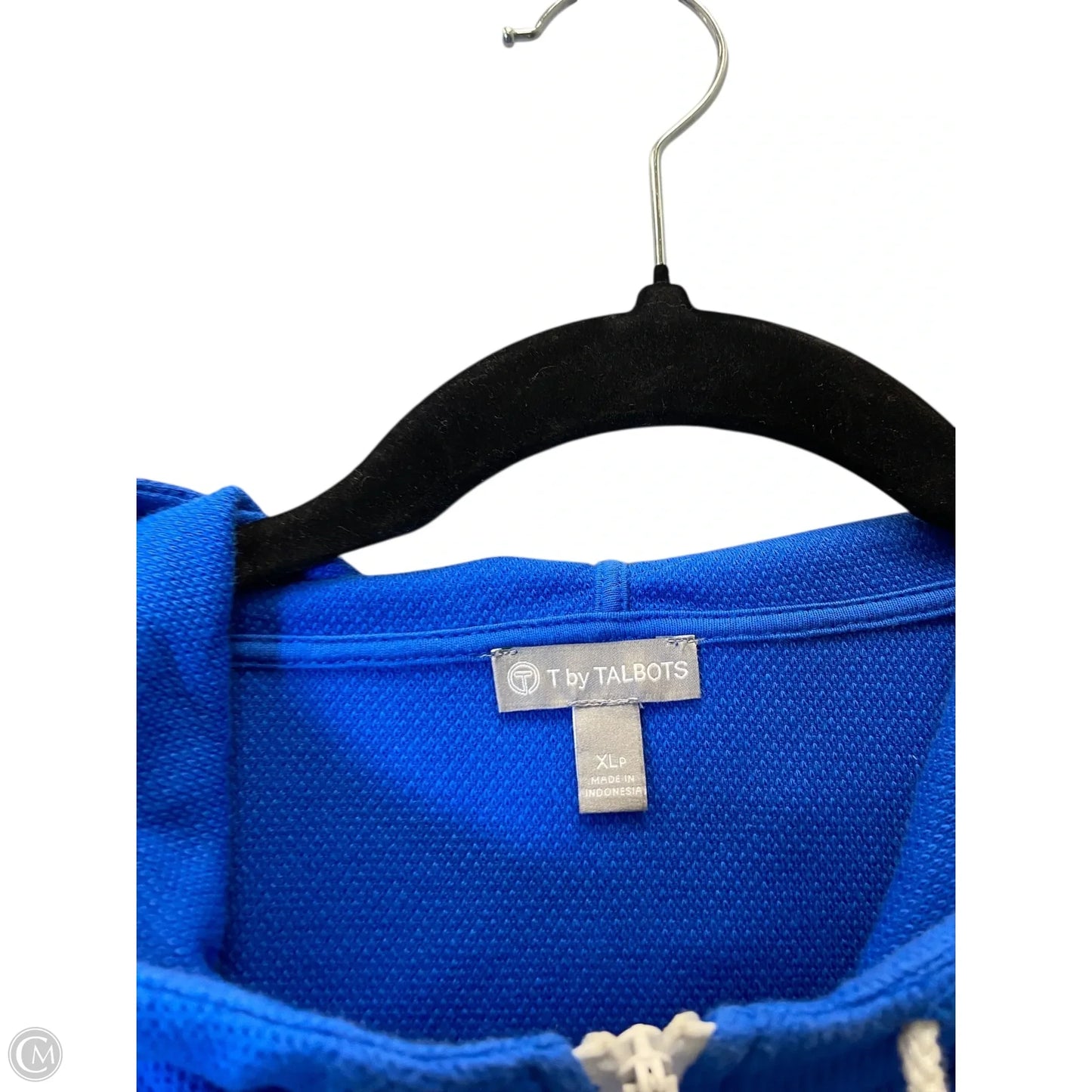 Sweatshirt Hoodie By Talbots In Blue, Size: Xl