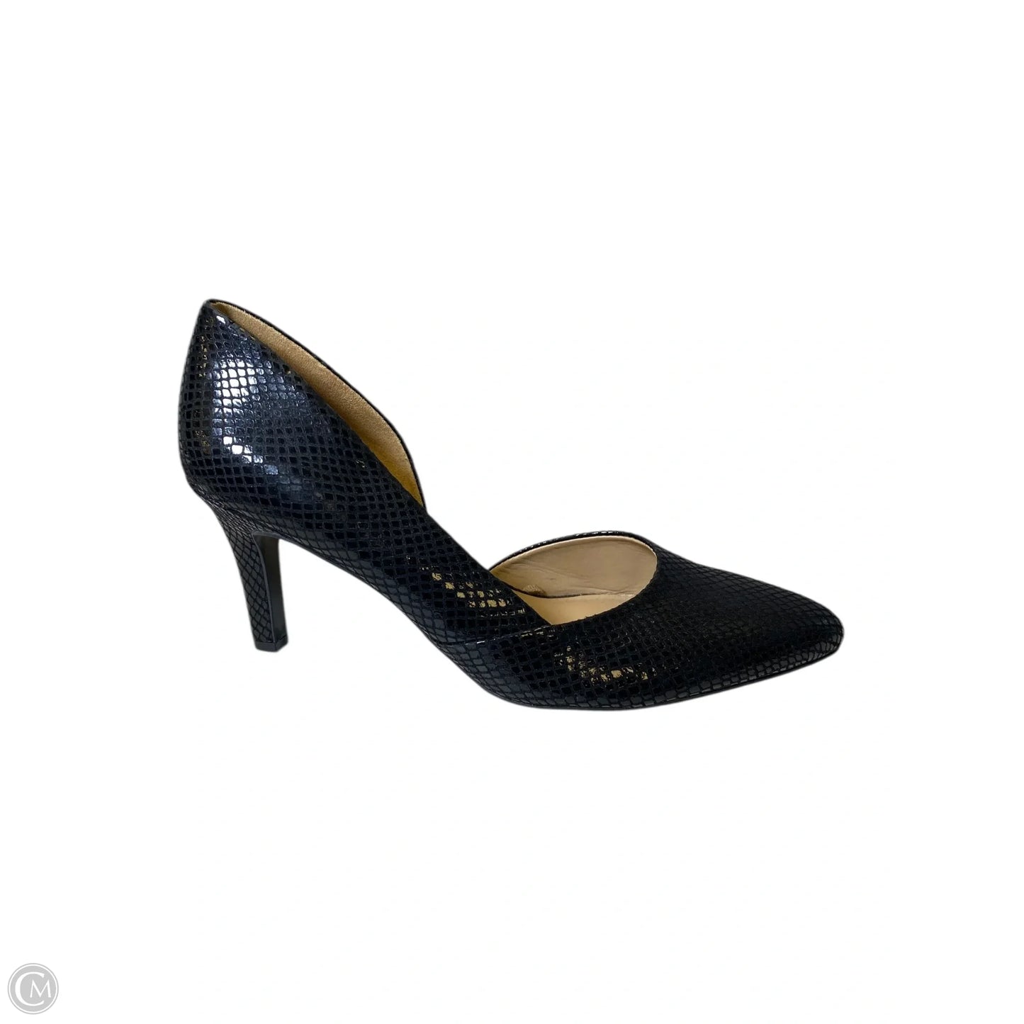 Shoes Heels Kitten By Naturalizer In Black, Size: 9