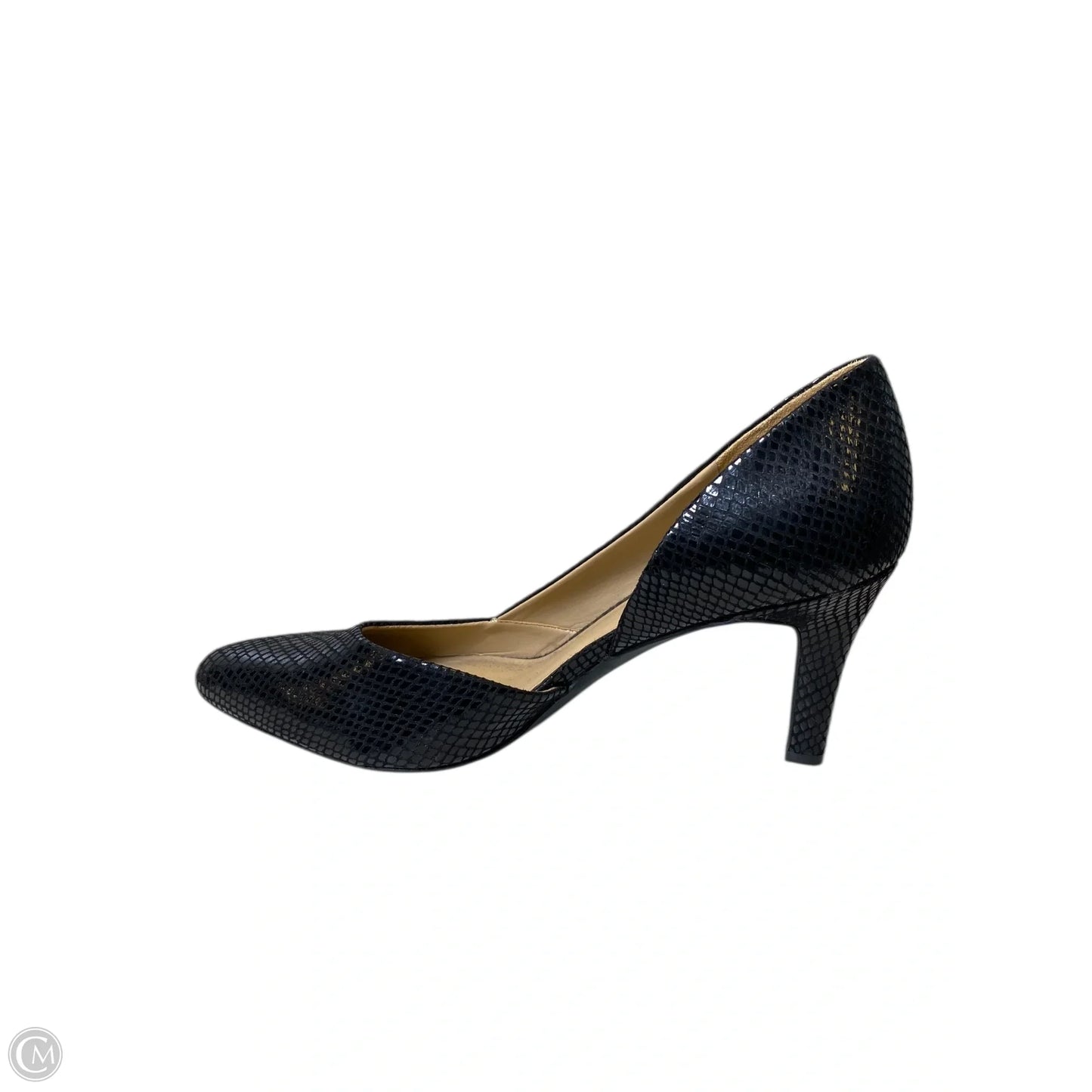 Shoes Heels Kitten By Naturalizer In Black, Size: 9