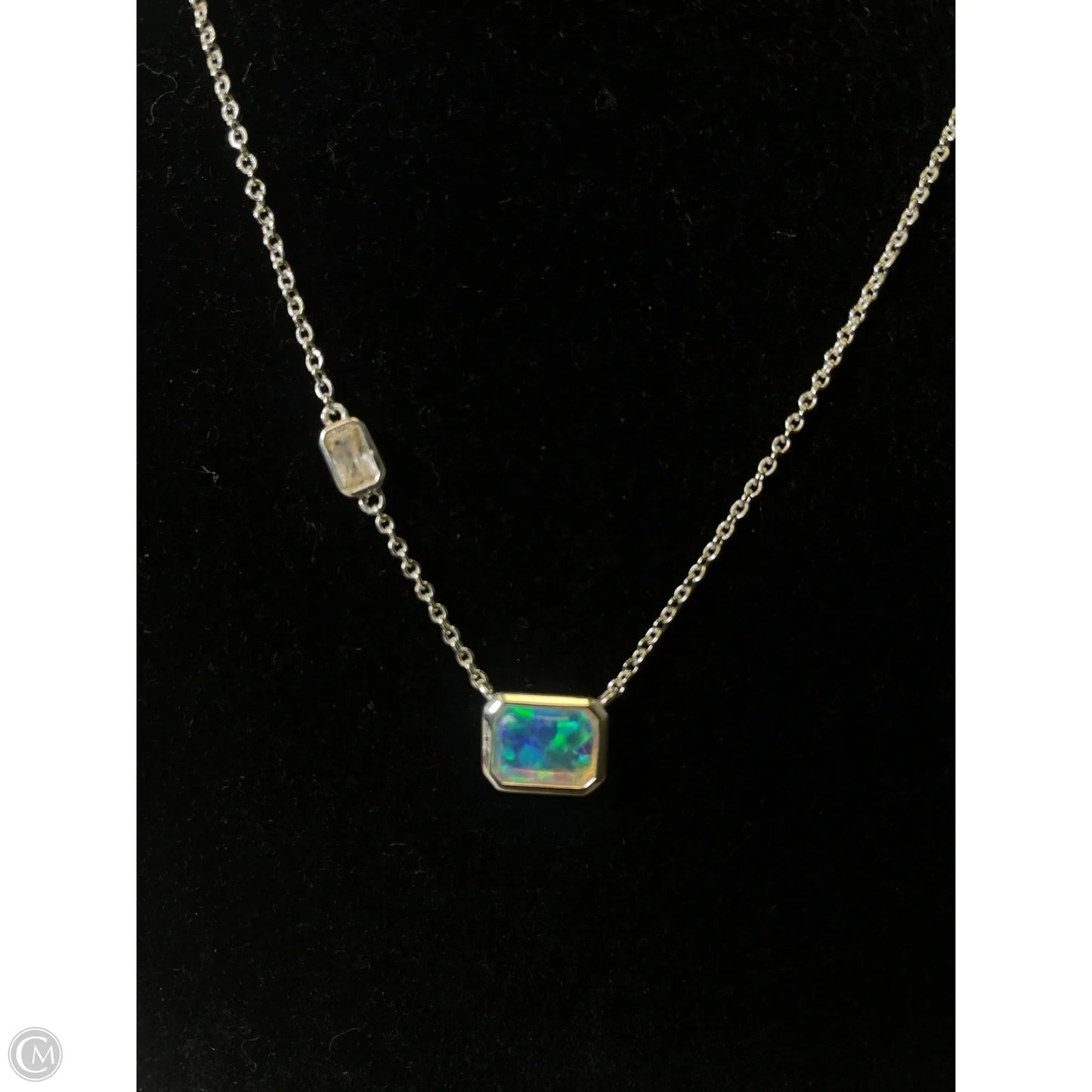 Necklace Pendant By Clothes Mentor