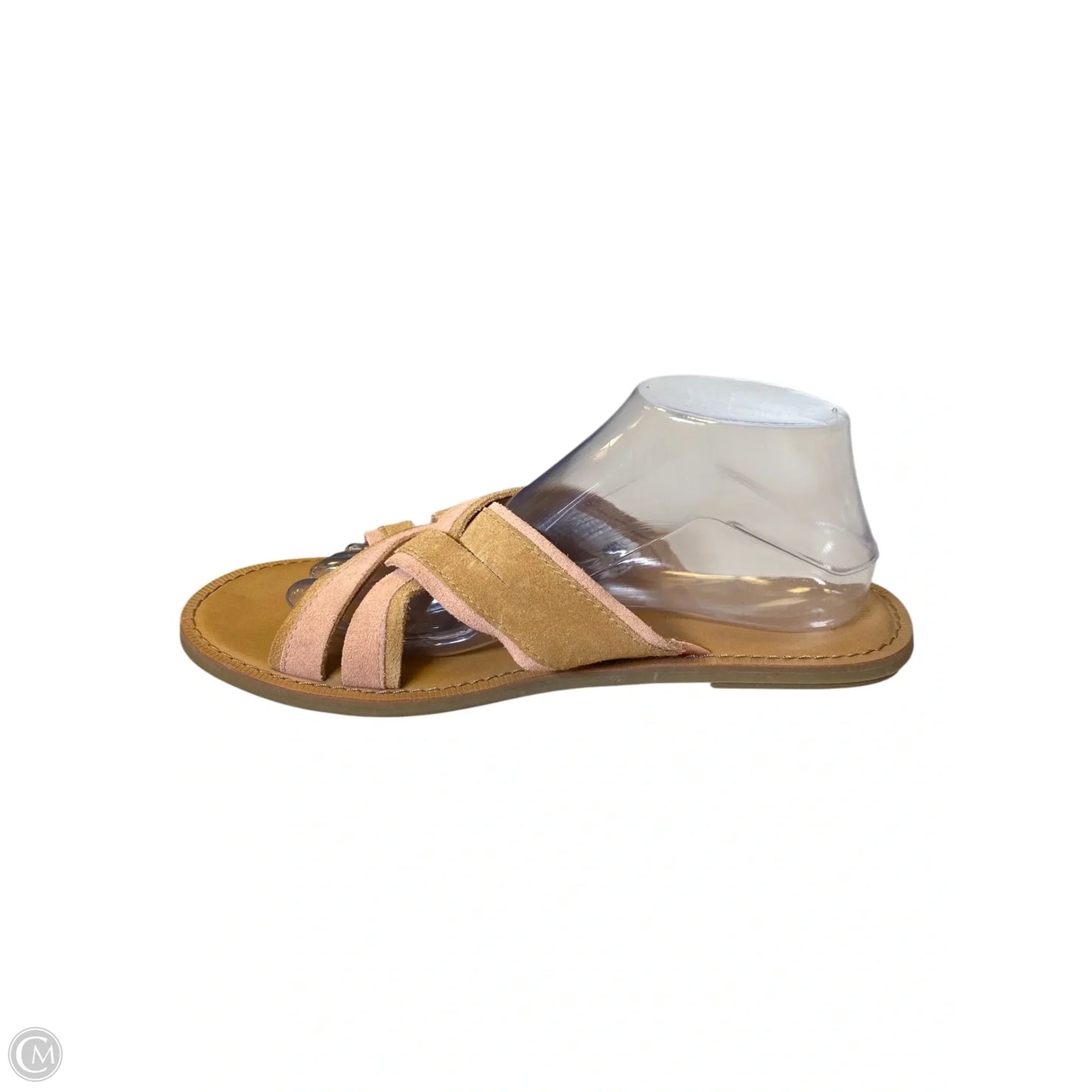 Sandals Flats By Toms In Brown & Pink, Size: 10