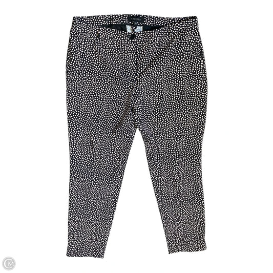 Pants Other By Talbots In Polkadot Pattern, Size: 12
