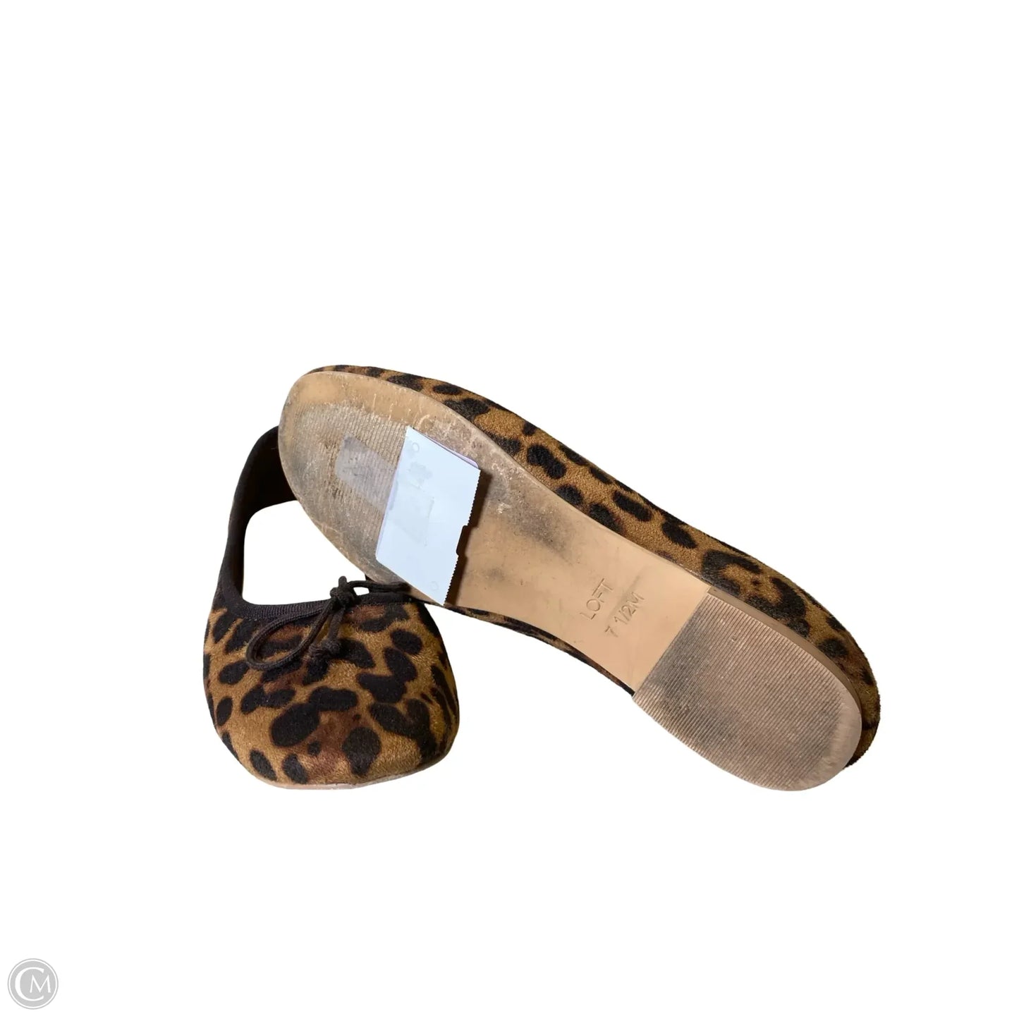 Shoes Flats By Loft In Animal Print, Size: 7.5
