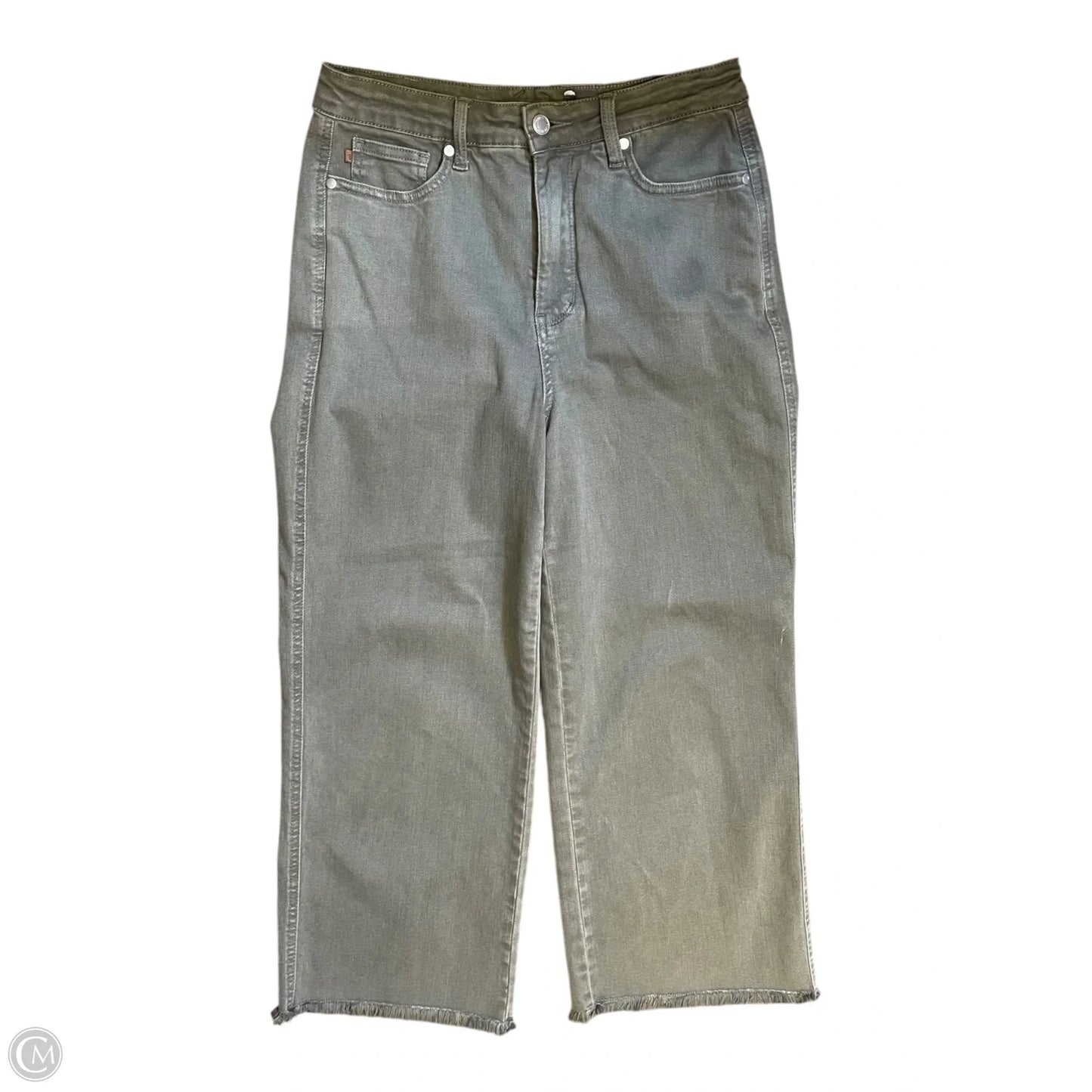Jeans Wide Leg By Judy Blue In Green, Size: 8