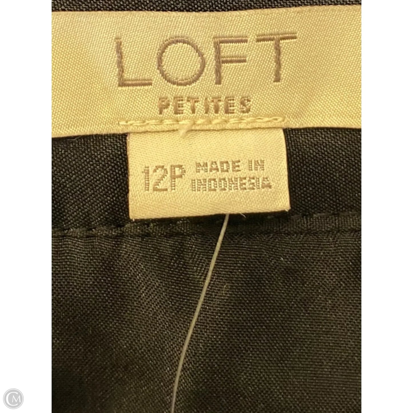 Skirt Mini & Short By Loft In Black, Size: L