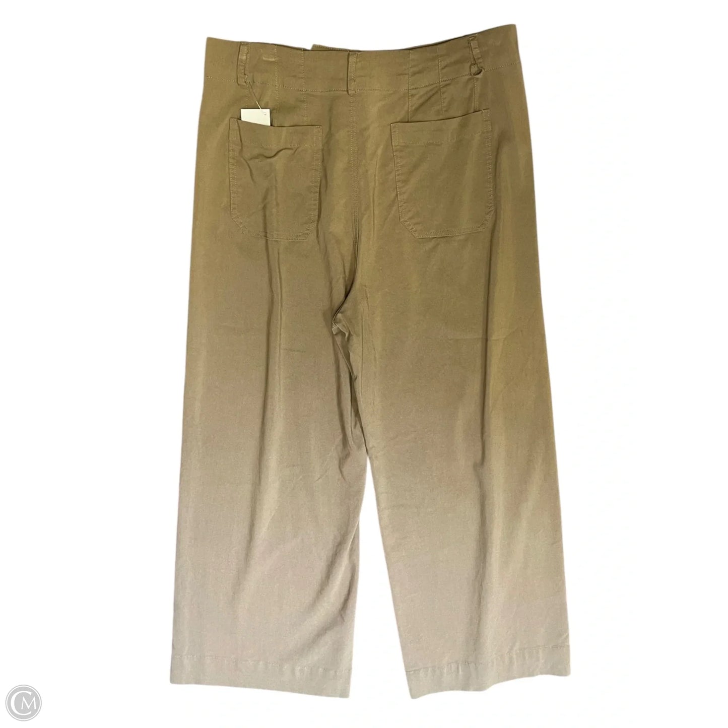 Pants Lounge By Eesome In Tan, Size: L
