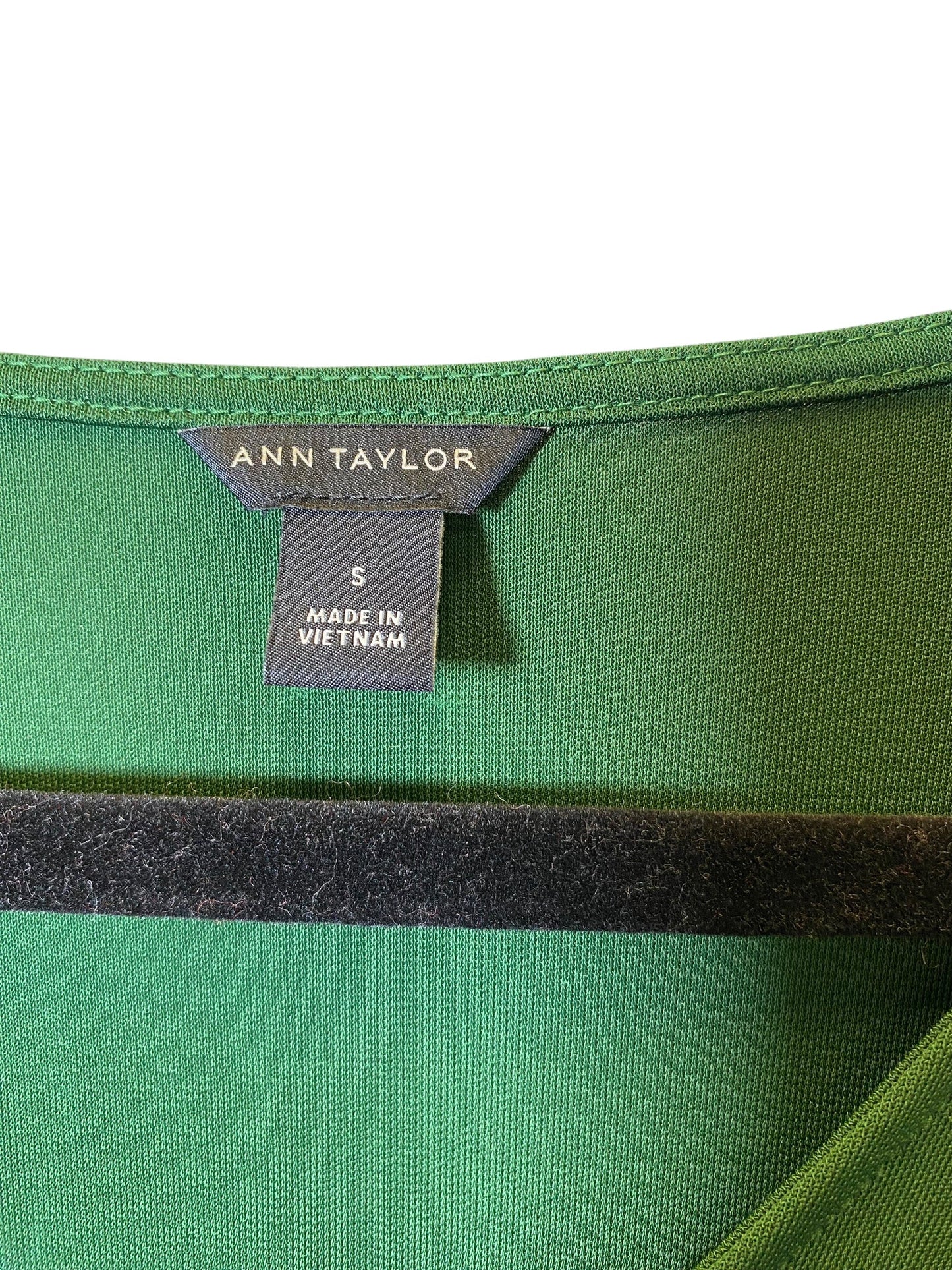 Top Long Sleeve By Ann Taylor In Green, Size: S