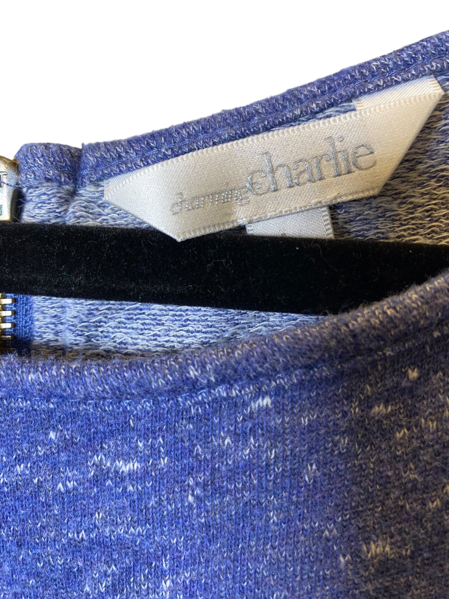 Top Long Sleeve By Charming Charlie  Size: L