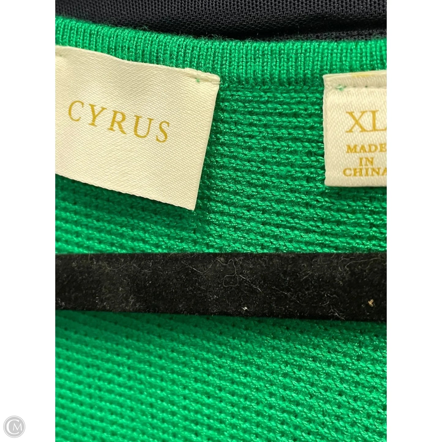 Top Short Sleeve By Cyrus In Green, Size: Xl