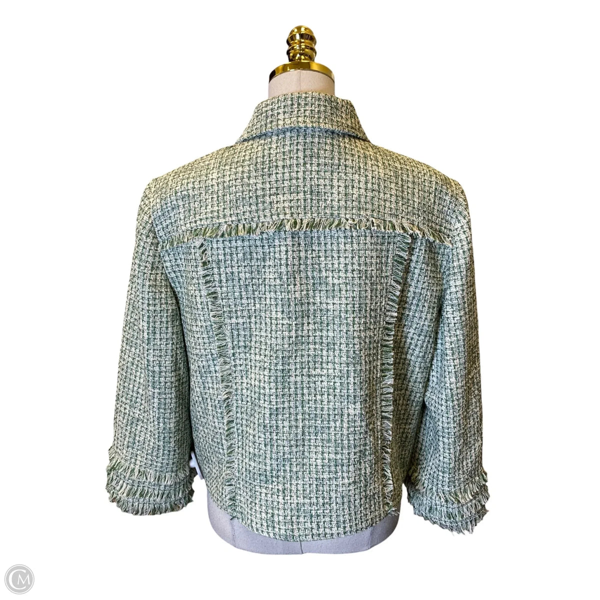 Blazer By Chicos In Green & White, Size: L