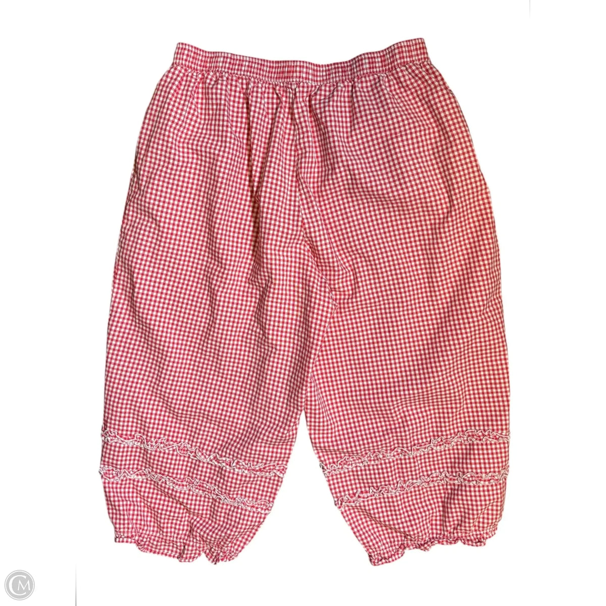 Skirt Maxi By Clothes Mentor In Plaid Pattern, Size: 2x