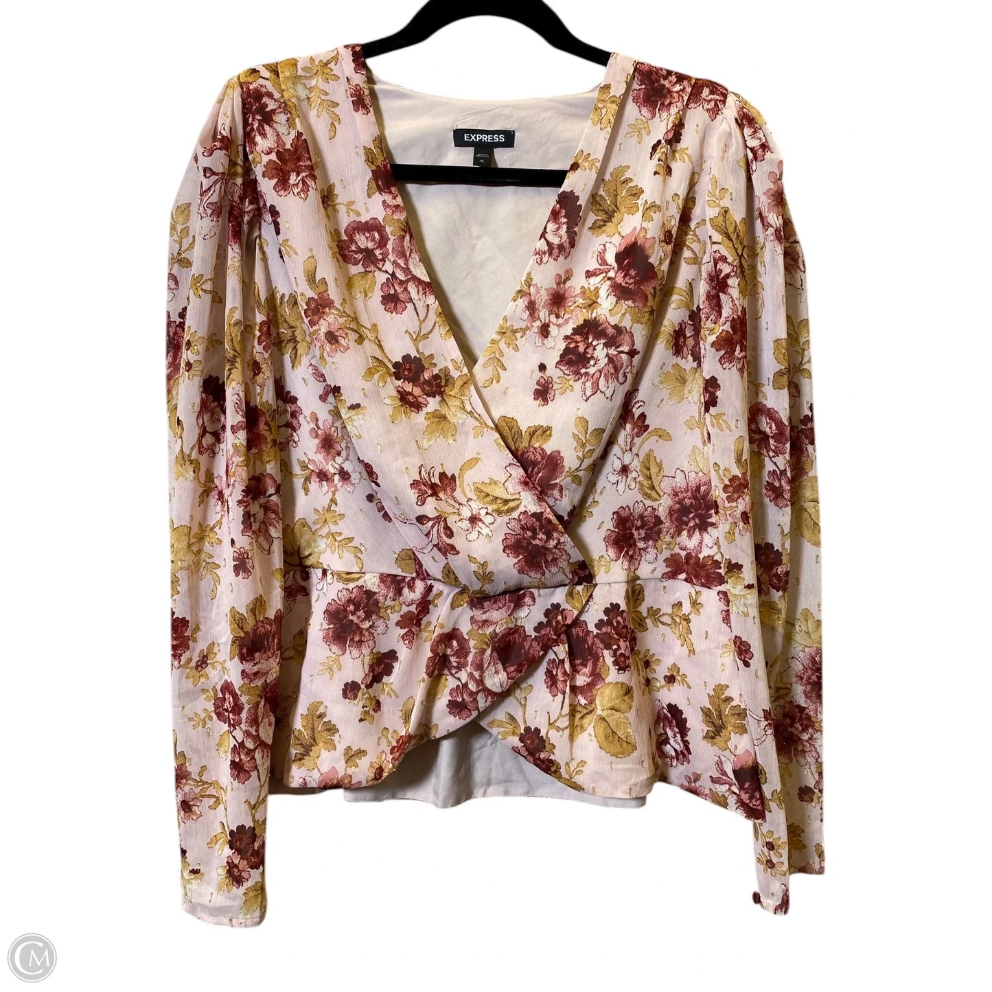 Blouse Long Sleeve By Express In Coral, Size: Xl