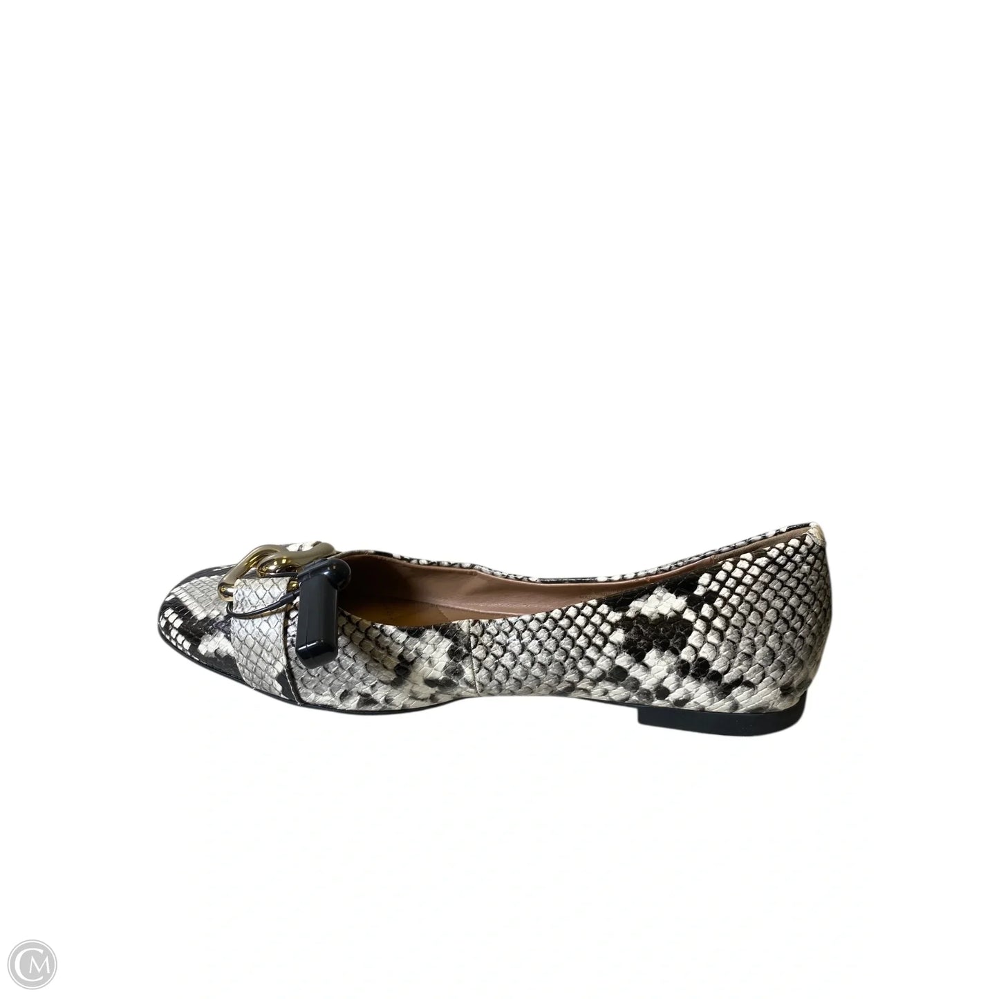 Shoes Flats By Aerosoles In Snakeskin Print, Size: 10