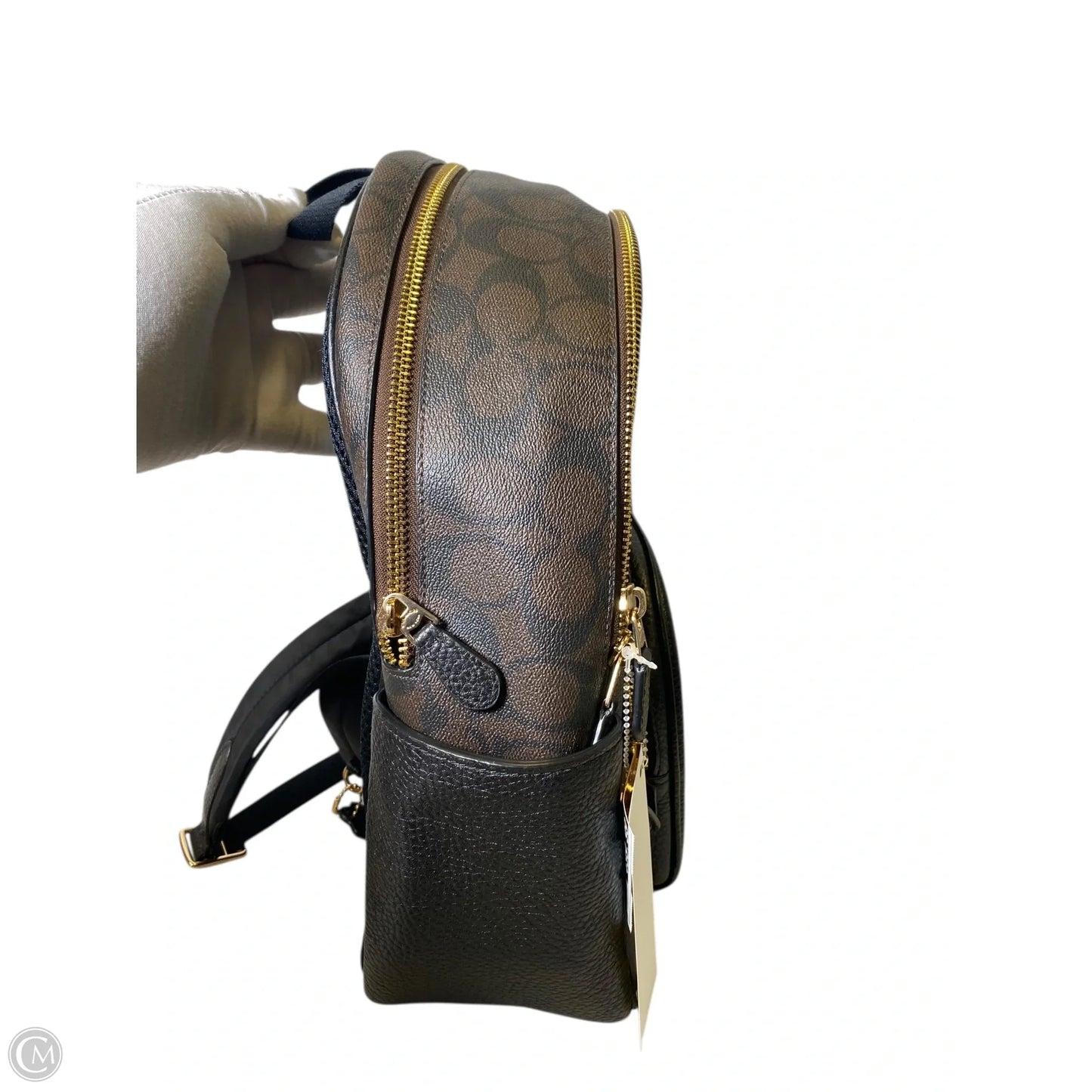 Backpack Designer By Coach, Size: Medium