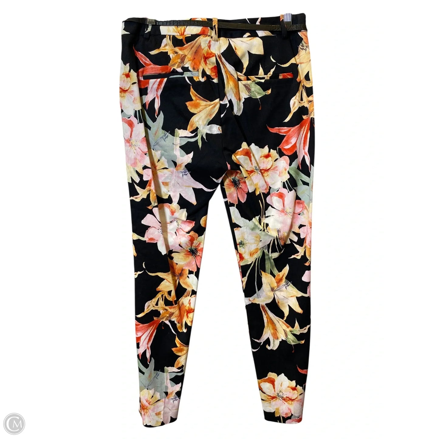 Pants Other By Zara Basic In Floral Print, Size: 4
