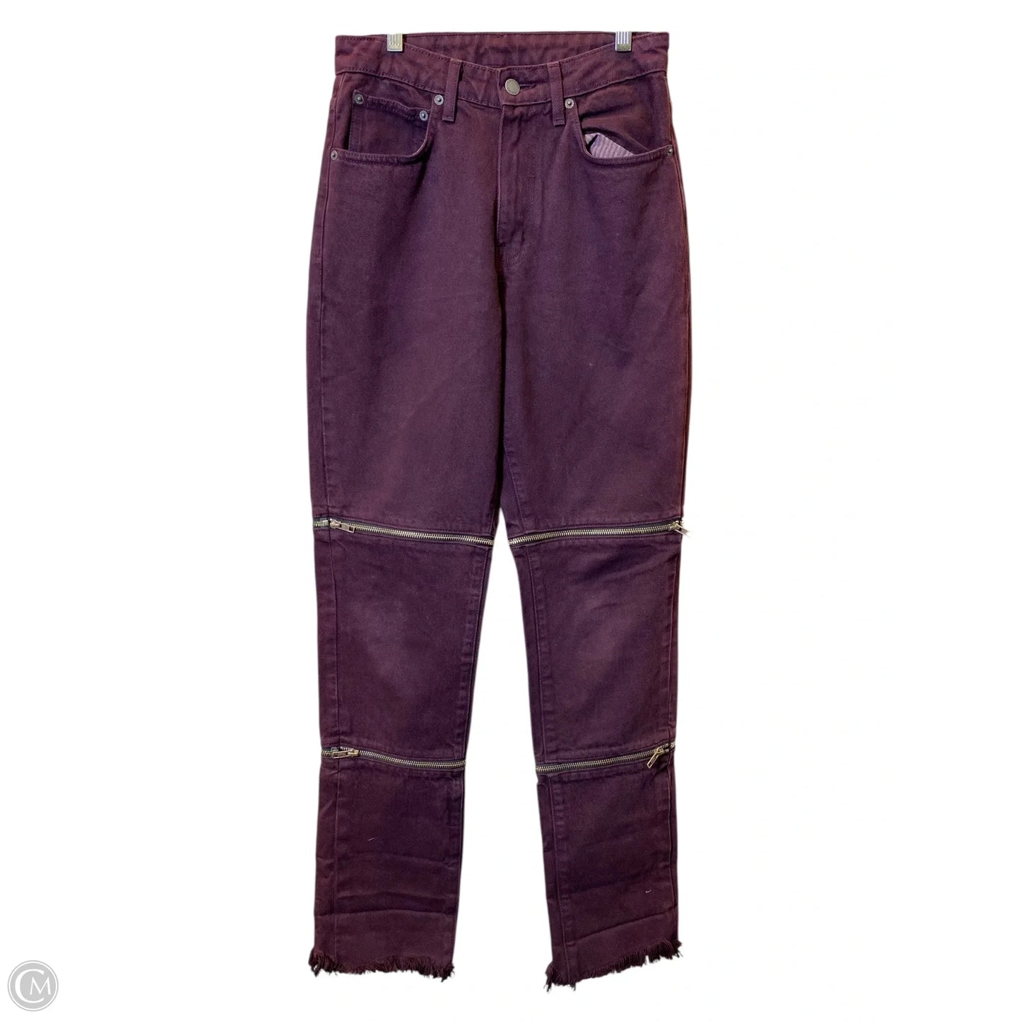 Pants Cargo & Utility By Clothes Mentor In Purple, Size: 2