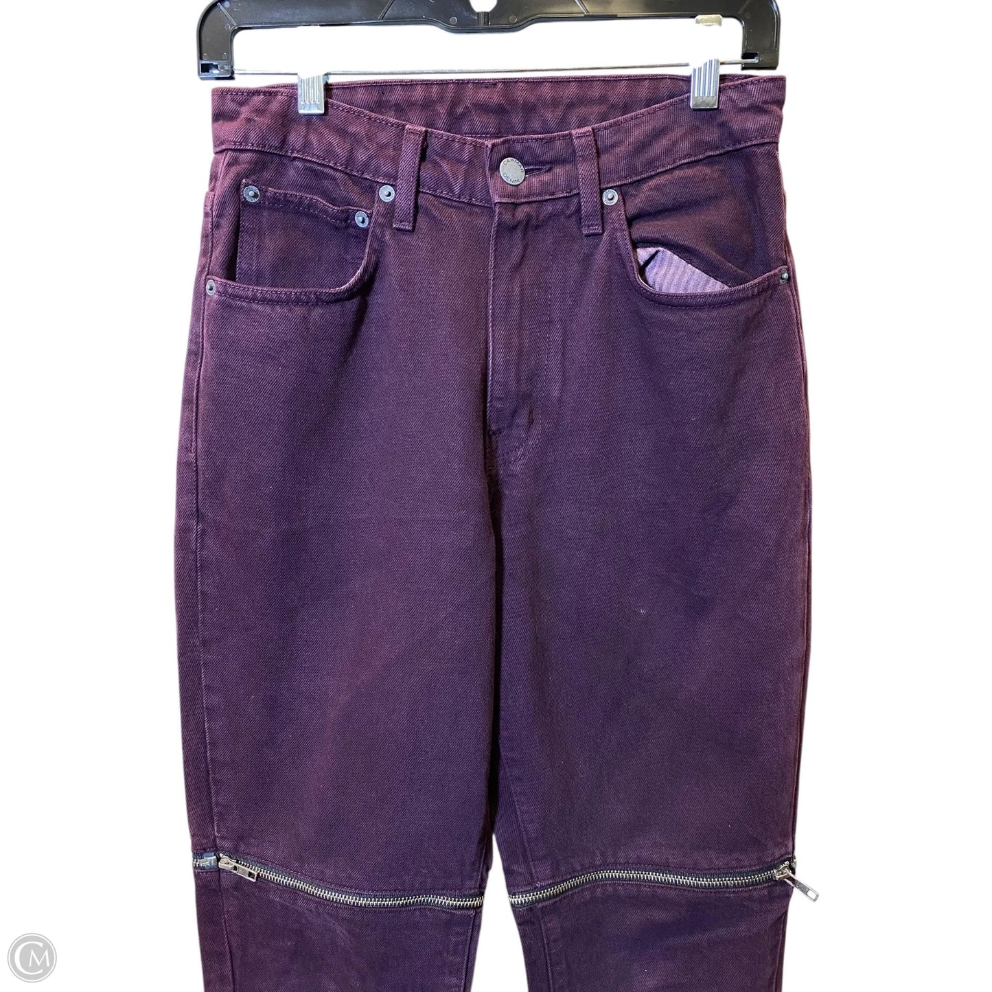 Pants Cargo & Utility By Clothes Mentor In Purple, Size: 2