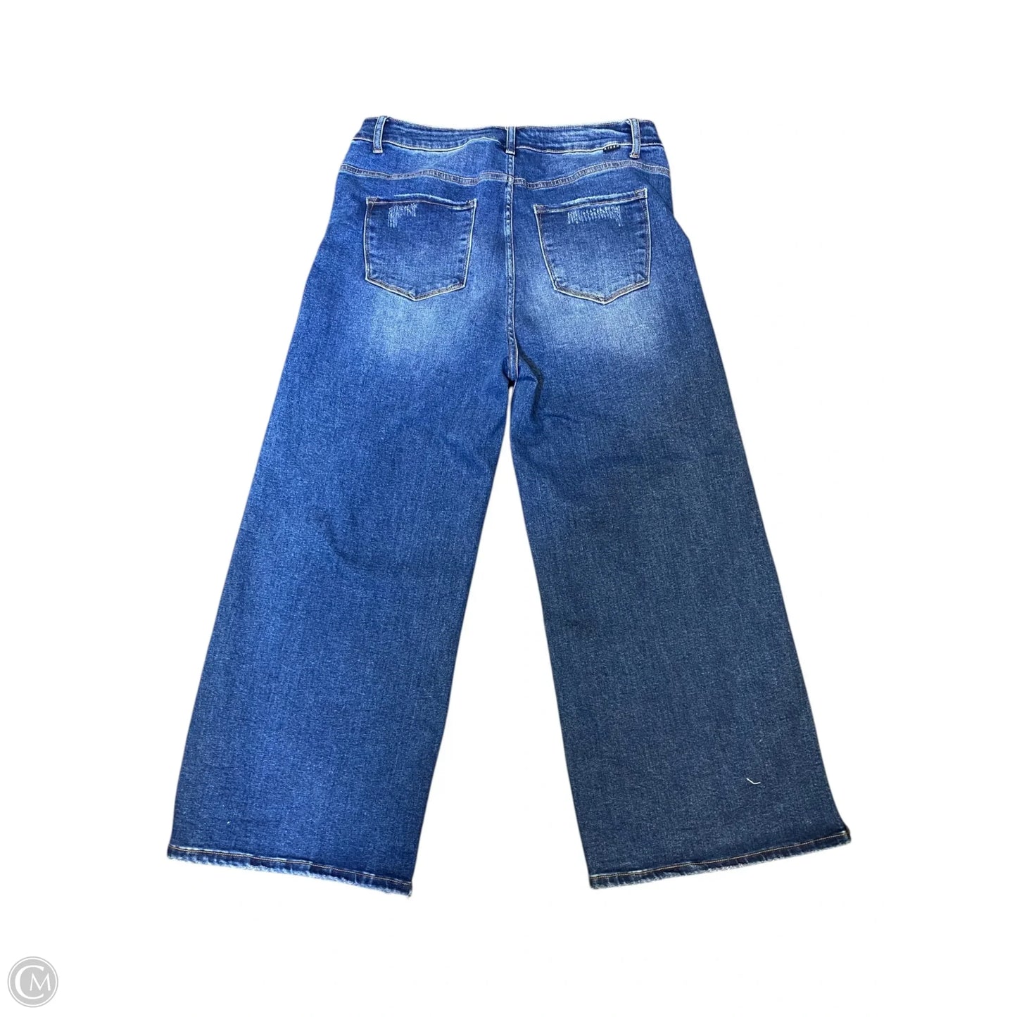 Jeans Wide Leg By Risen In Blue Denim, Size: 2x