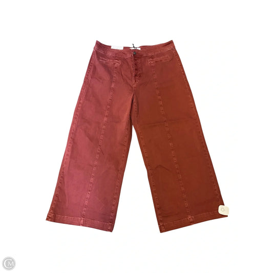Pants Other By Clothes Mentor In Maroon, Size: 14