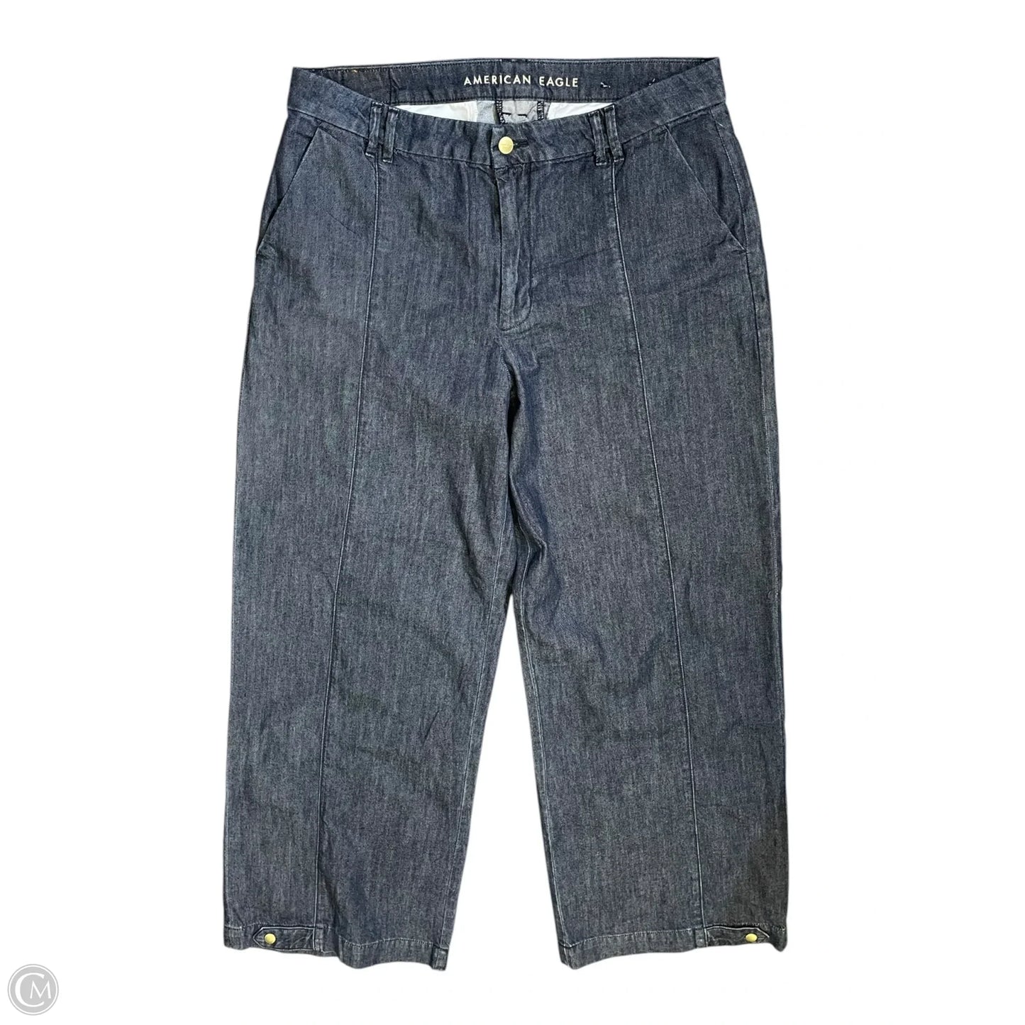 Pants Other By American Eagle In Blue, Size: 12