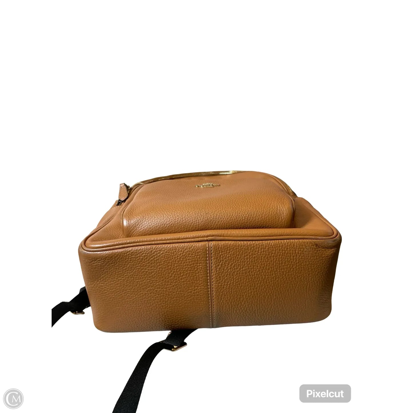 Backpack Designer By Coach, Size: Large