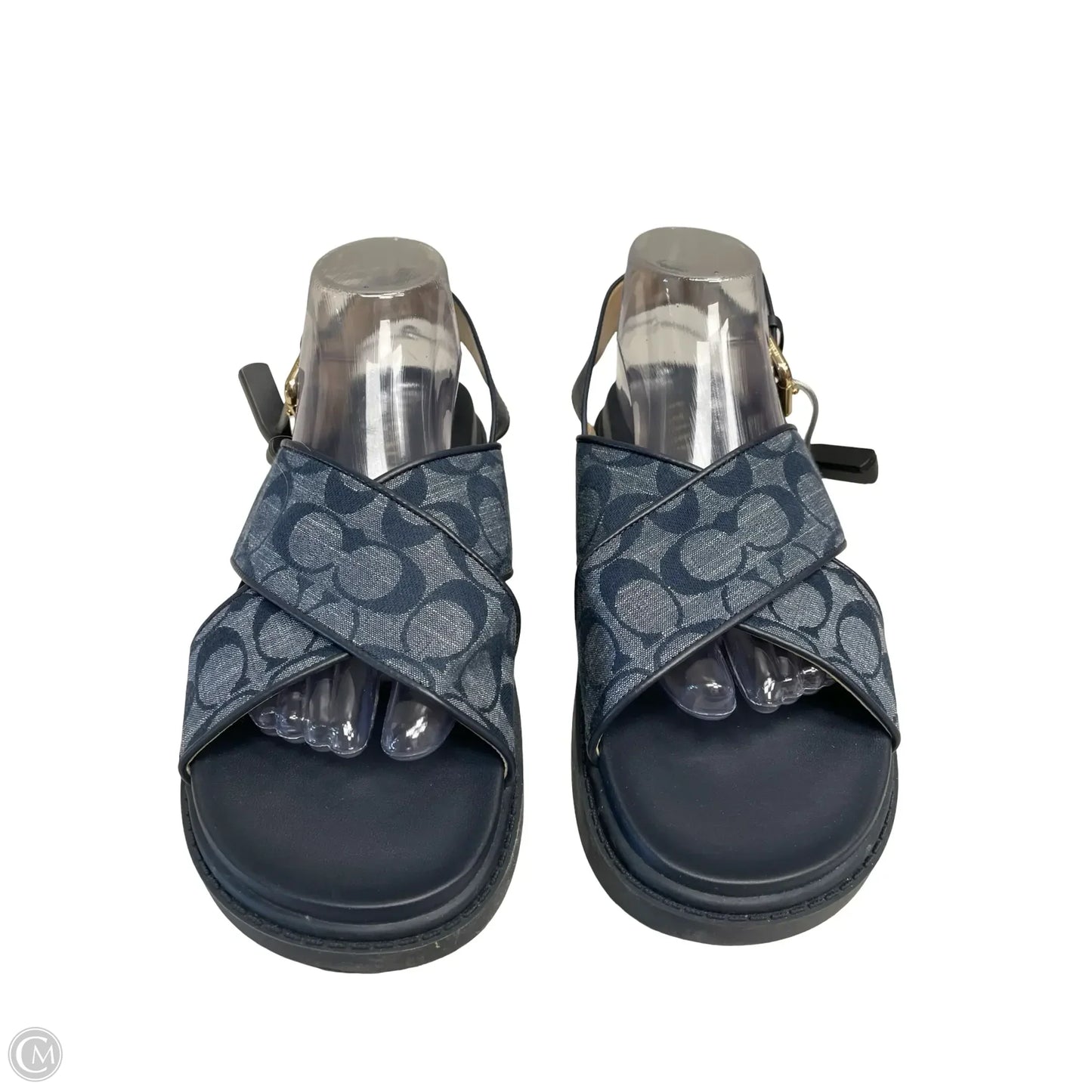 Sandals Designer By Coach In Blue, Size: 10