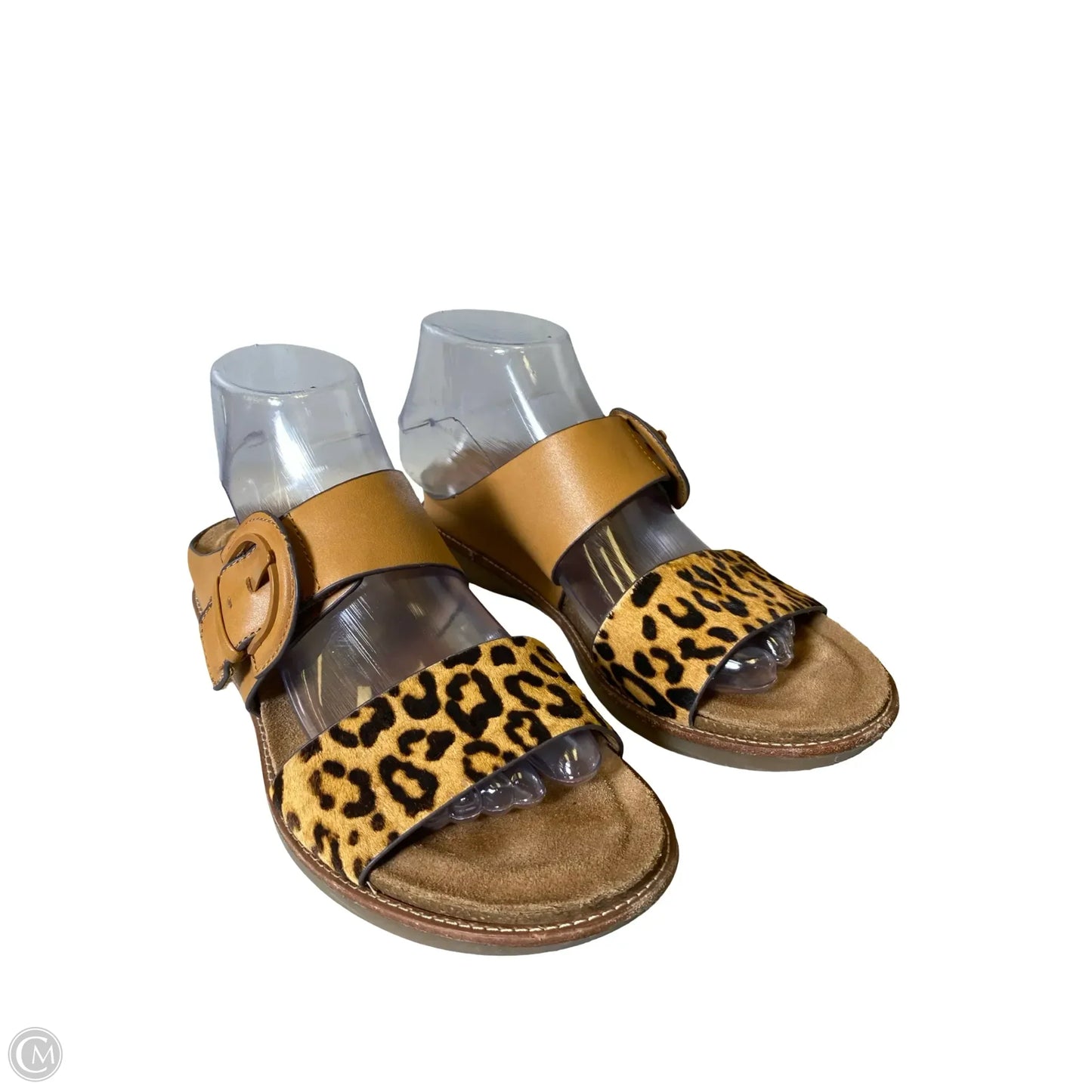 Shoes Flats By Sofft In Animal Print, Size: 8