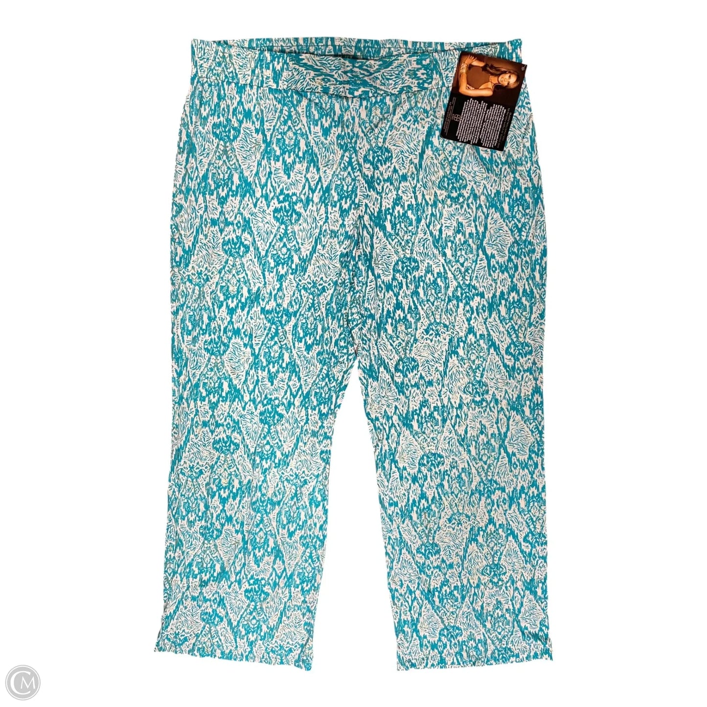 Pants Other By Clothes Mentor In Teal, Size: 2x