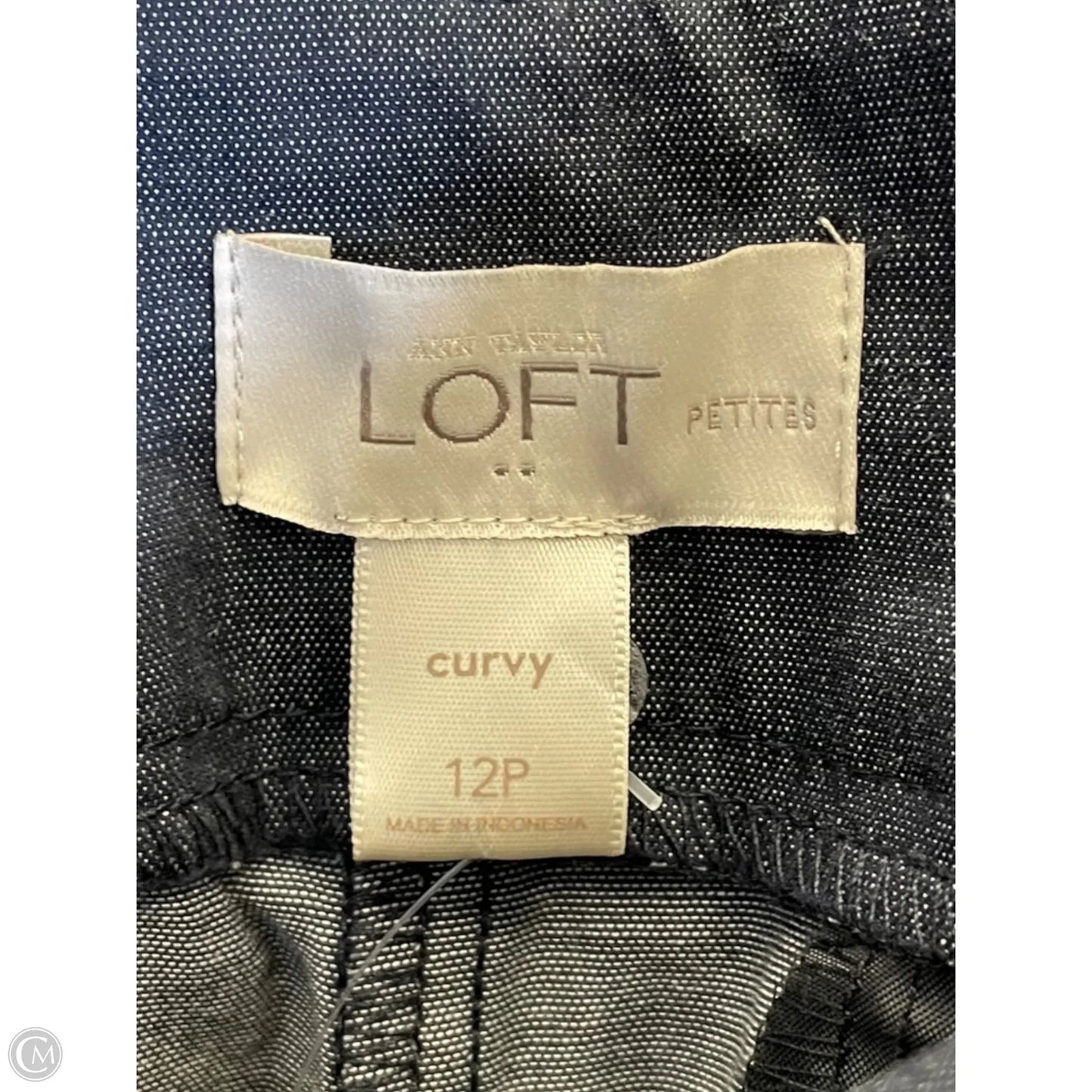 Pants Dress By Loft In Navy, Size: 12
