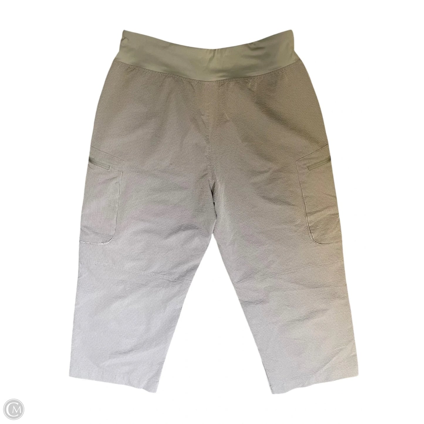 Pants Other By Sage In Grey, Size: L