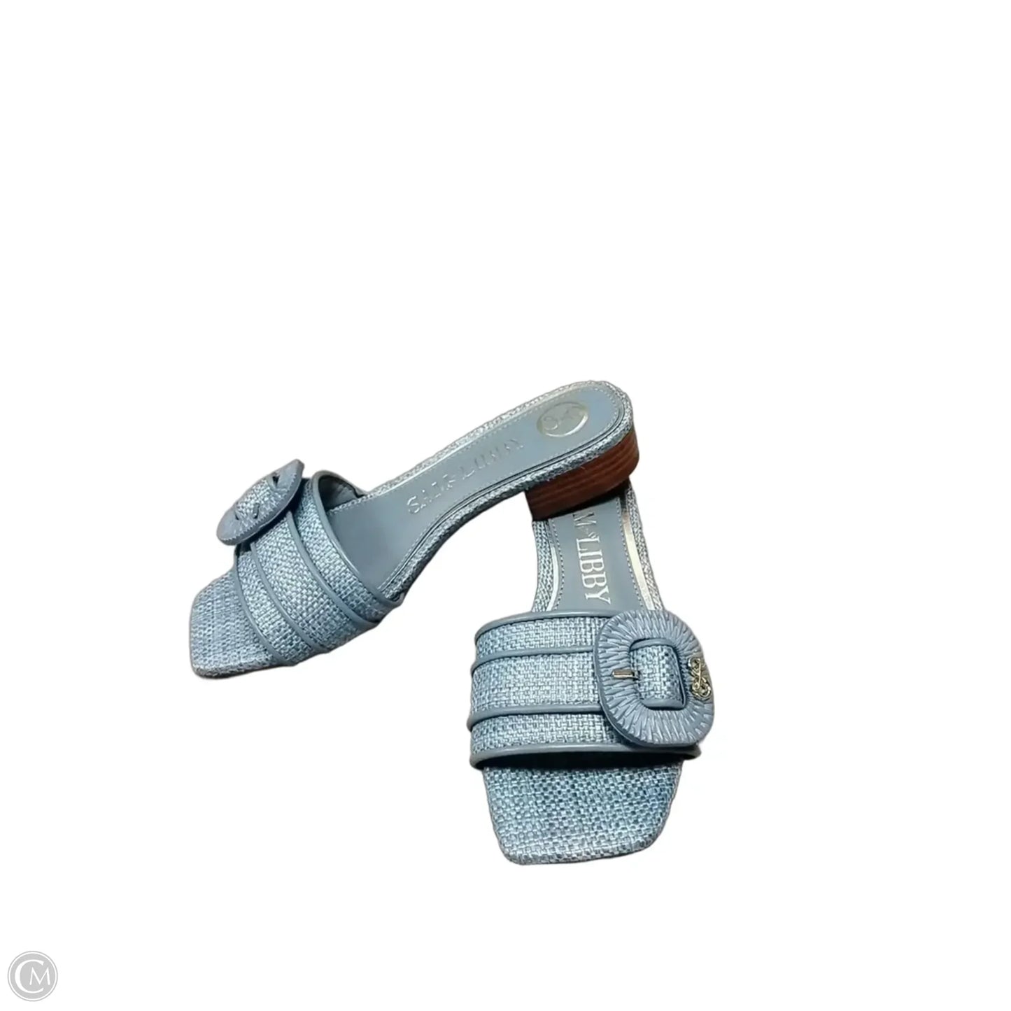 Sandals Flats By Sam And Libby In Blue, Size: 6