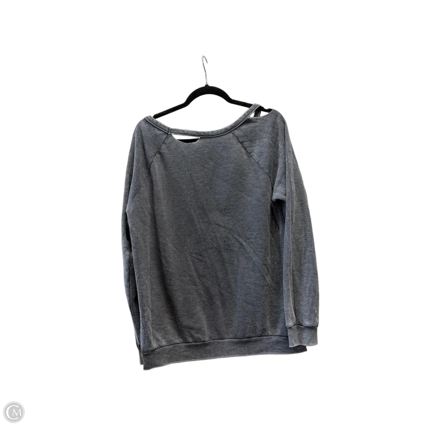 Sweatshirt Crewneck By Chacos In Grey, Size: S
