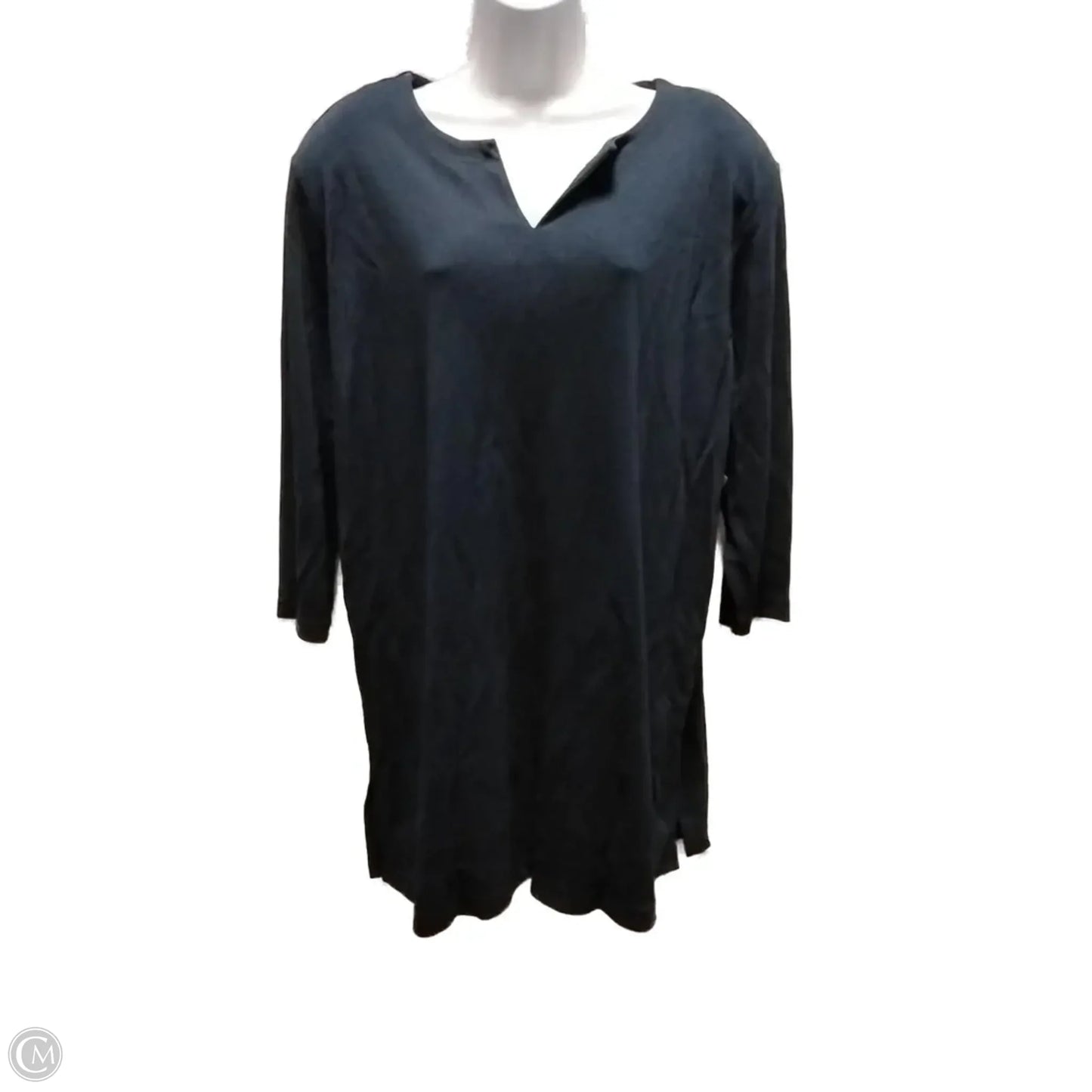Blouse Long Sleeve By Elisabeth In Blue, Size: 2x