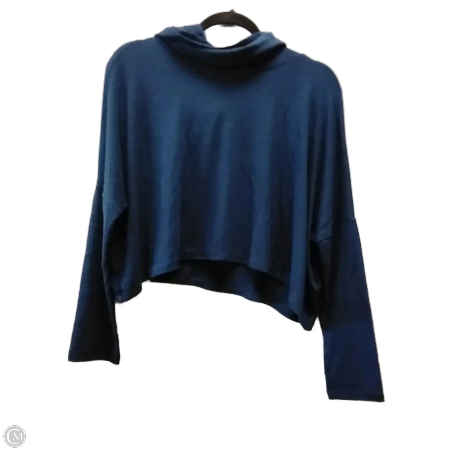 Sweater By Clothes Mentor In Blue, Size: S
