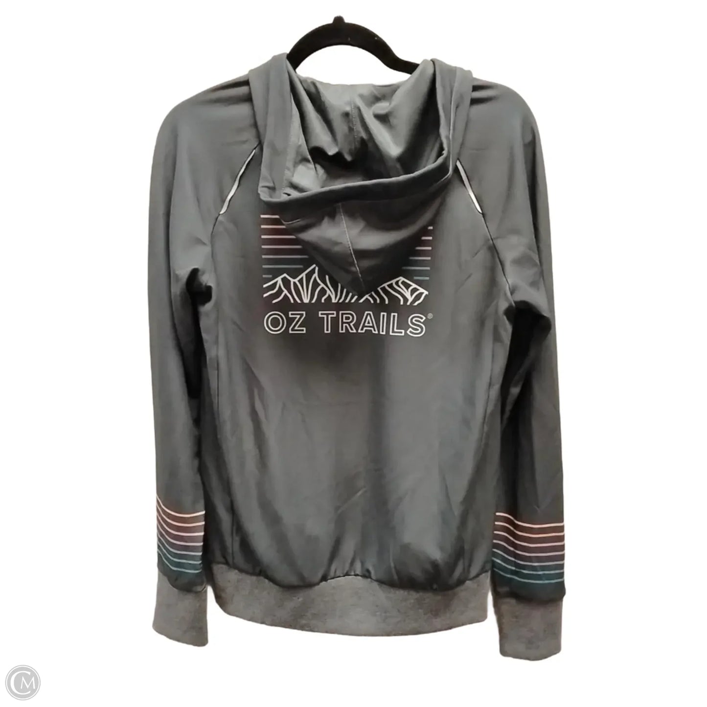 Sweatshirt Hoodie By Clothes Mentor In Grey, Size: M