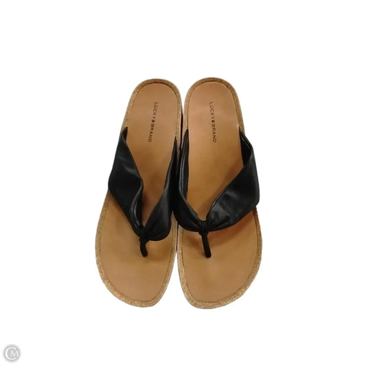 Sandals Flip Flops By Lucky Brand In Black, Size: 11
