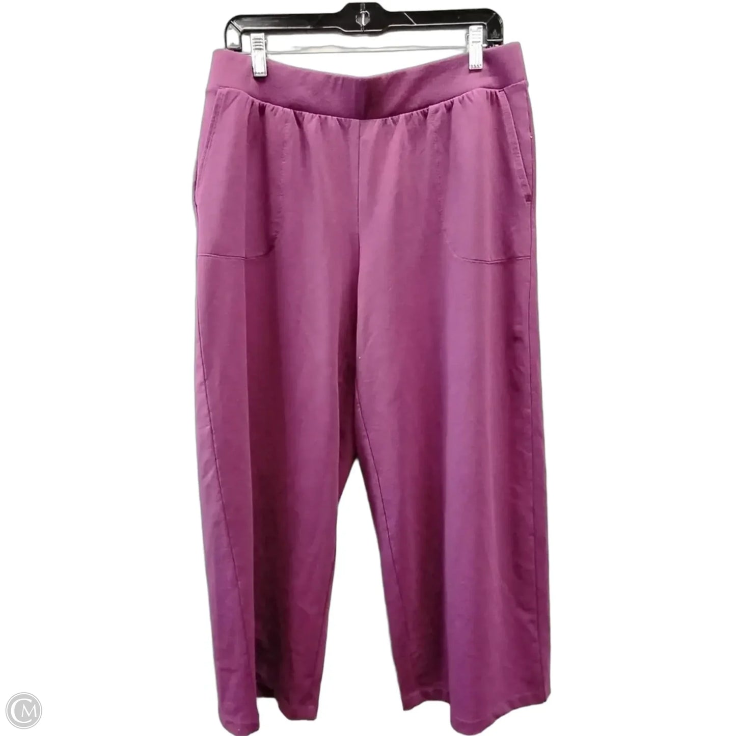 Athletic Pants 2pc By J. Jill In Purple, Size: M
