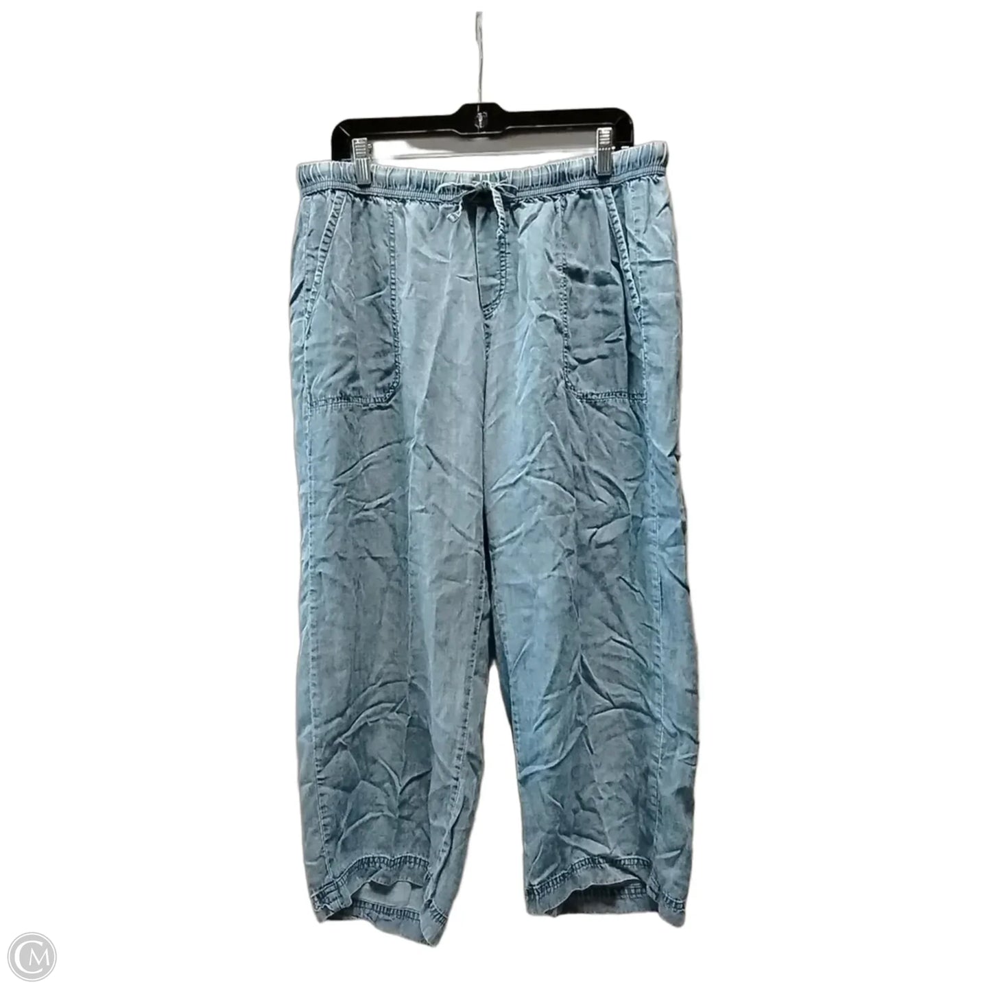 Pants Other By Splendid In Blue, Size: Xl