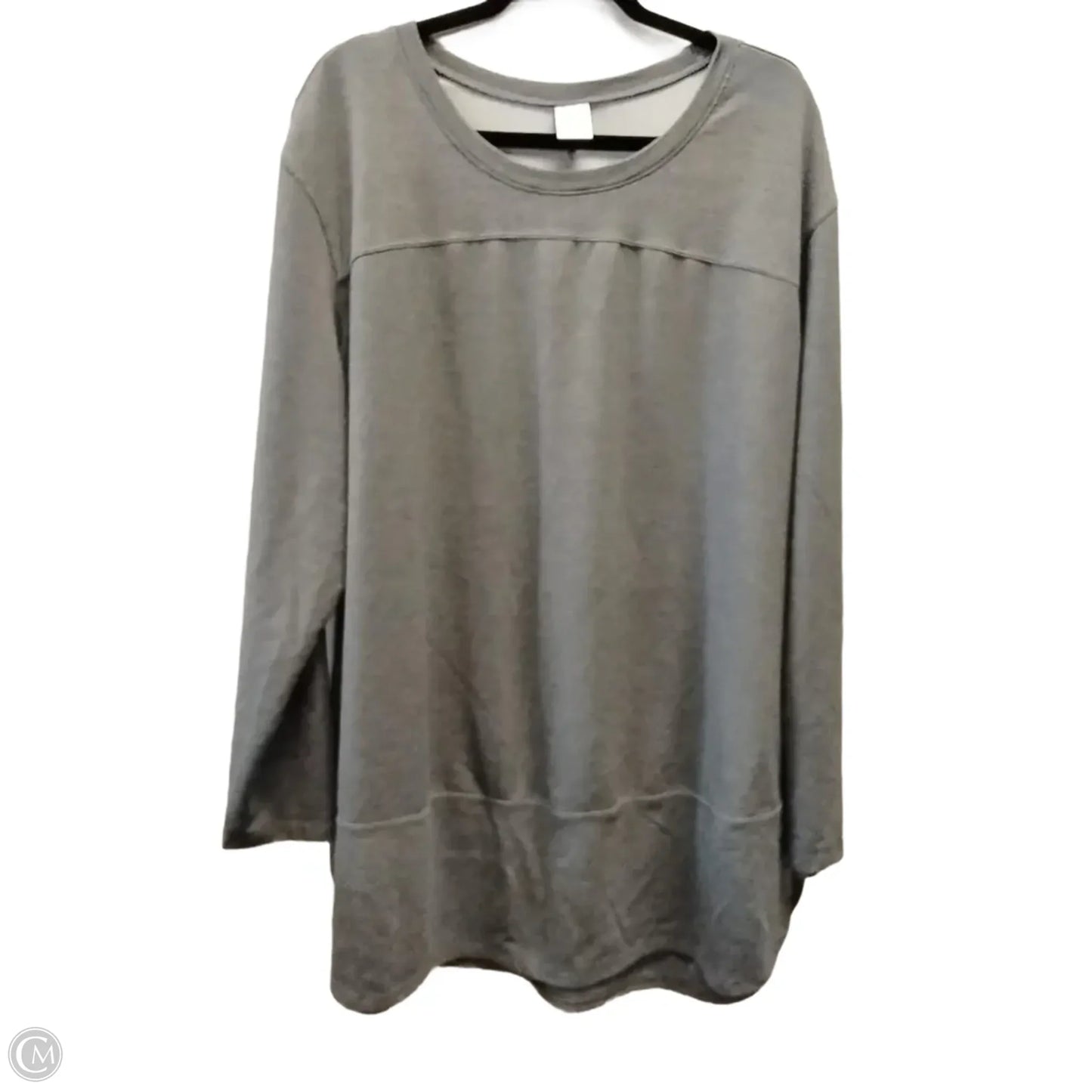 Top Long Sleeve By Terra & Sky In Grey, Size: 2x