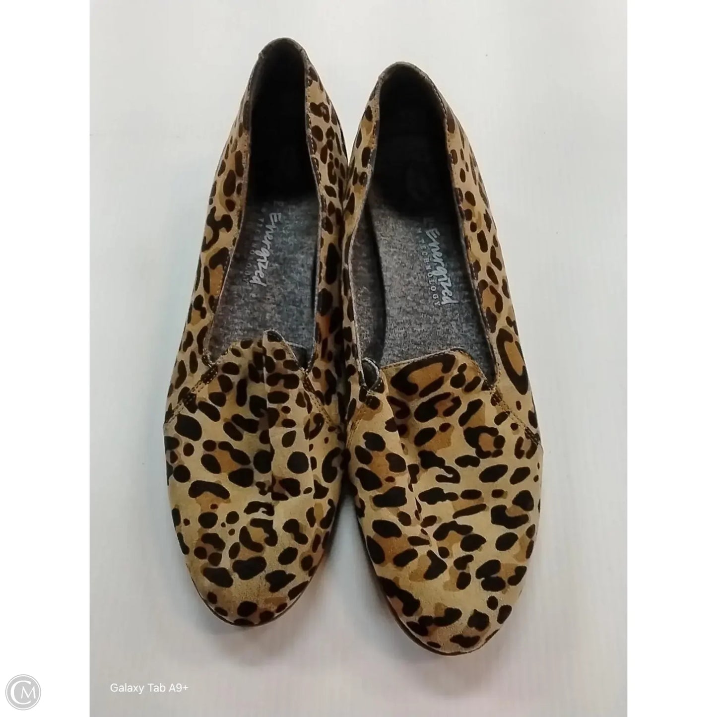 Shoes Flats By Dr Scholls In Animal Print, Size: 9.5