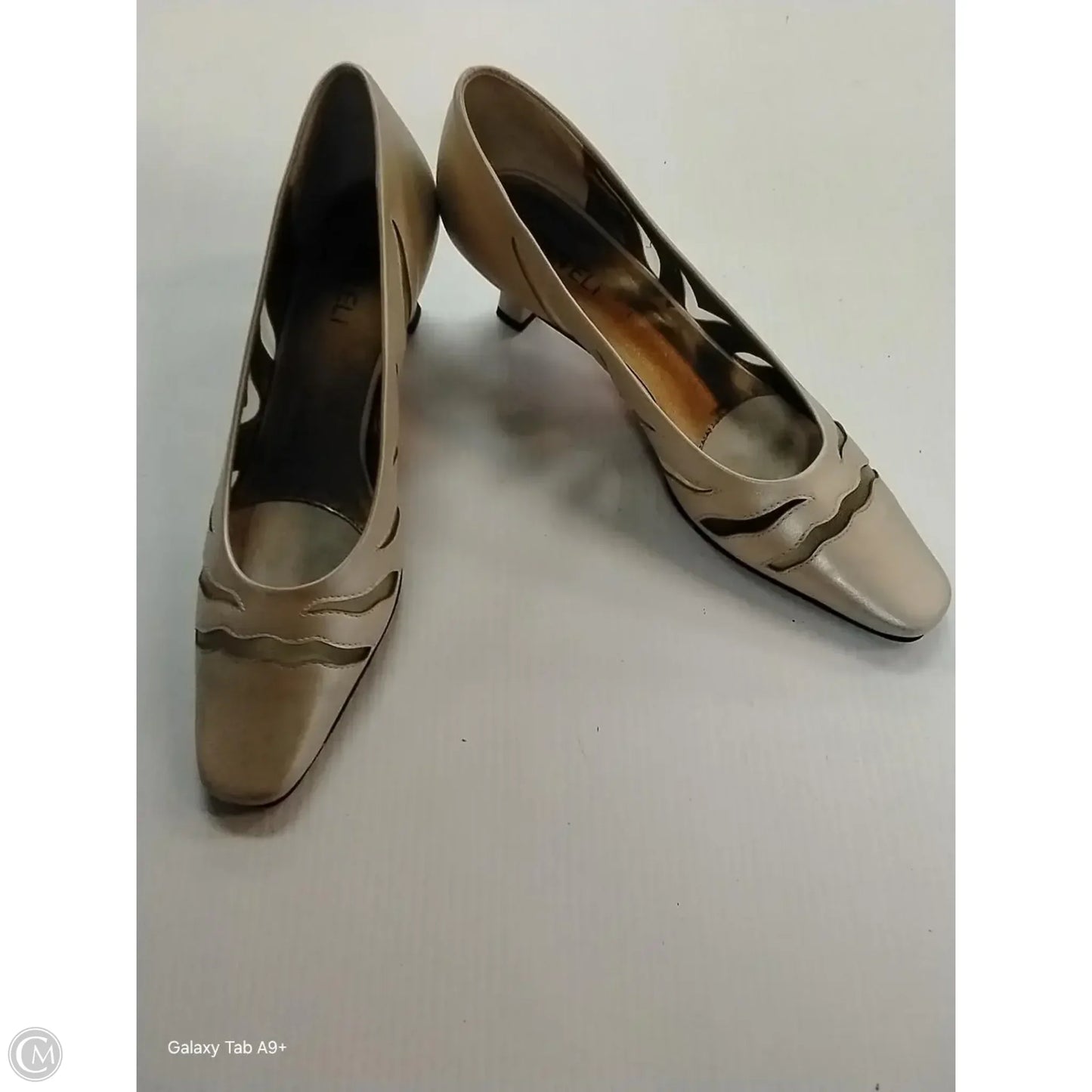 Shoes Heels Kitten By Vaneli In Tan, Size: 8